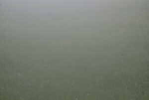 Silicon in the Soil: Why Farmers Are Split Down the Middle on Artificial Intelligence